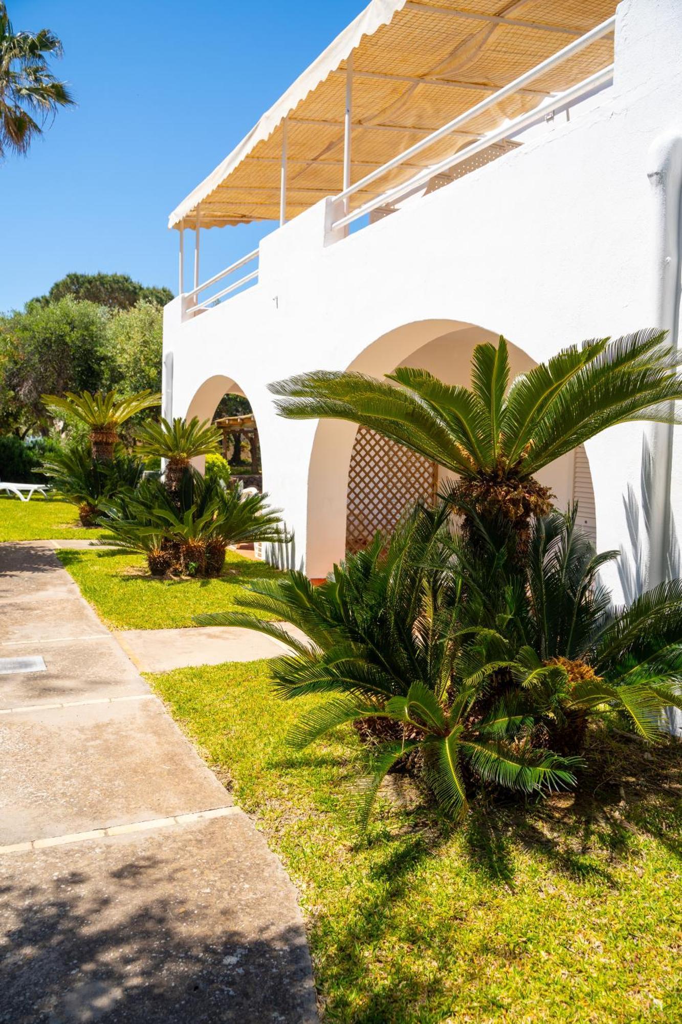 Residence Palummera Ischia Ngoại thất bức ảnh